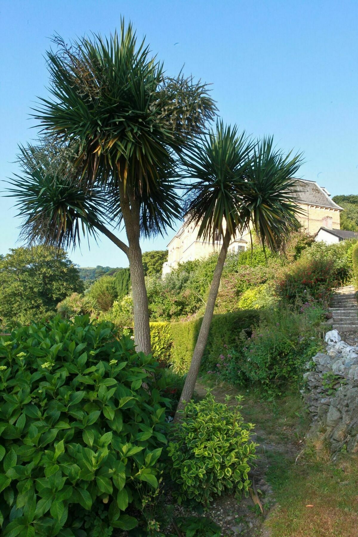 Epchris House Hotel Ilfracombe Luaran gambar